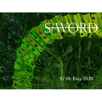 S/10: Fall 2020